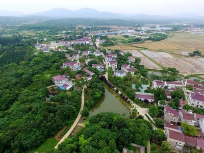 植綠不止，春山可望！馬鞍山市這個縣扛起高質量發展“綠色擔當”